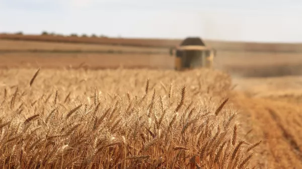 Перед аграриями Иркутской области стоит задача произвести 920 тысяч тонн зерна в этом году
